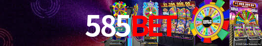 Programa VIP 585bet